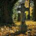 Cmentarz, na pierwszym planie duży krzyż nagrobny z kamienia, z nim stare drzewo porośnięte bluszczem. Na ziemi jesienne liście. Ciepła barwa zdjęcia.